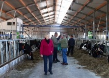 Broers Van der Sluis ingenomen met nieuwe locatie melkveebedrijf