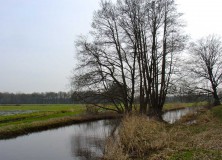 Dialezing over zuidwest Drenthe in Gorredijk