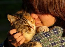 Juni: dierenarts Gorredijk, een katvriendelijke praktijk